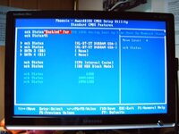 BIOS_08_02.jpg