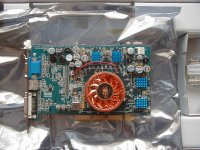 PB290002.JPG