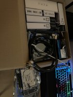 IMG_3166.jpeg