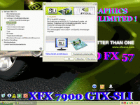 image2.gif