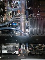 P1455_18-07-10.jpg P1455_18-07-10.jpg