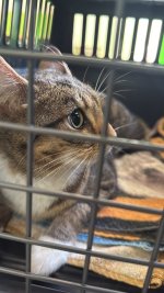 7302B074-AA26-4068-8DC1-8E7F299917E9.jpeg