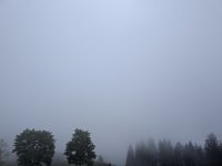 PXL_20250525_133814761.jpg