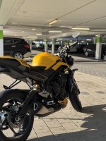 IMG_3128.jpeg