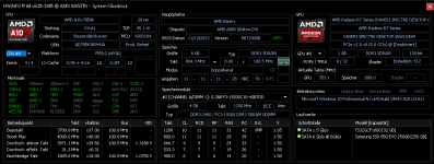 AMD Bantry - HWiNFO Overview 8.05.png