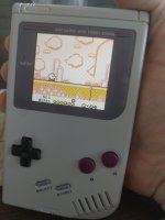 17504234657486086300277875681647.jpg