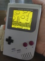 17504234833312041178997801652229.jpg