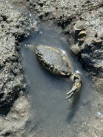 IMG_1793.jpeg