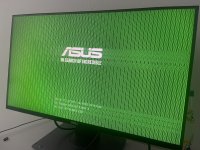 IMG_3004.jpeg