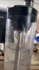 IMG_3620.jpeg