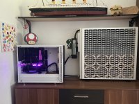 IMG_3125.jpeg