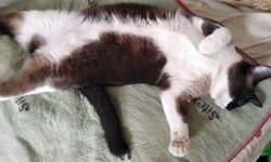 Loui-warm.jpg