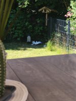 IMG_20250701_152443.jpg