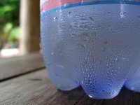 IMG_0322.jpeg