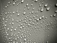 IMG_5060.jpeg
