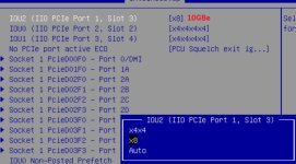 bios3.jpg
