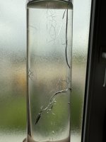 IMG_9952.jpeg
