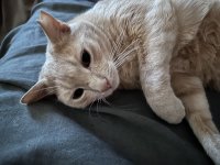 IMG_8015.jpeg