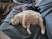 IMG_8014.jpeg