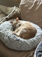 IMG_8020.jpeg
