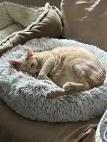 IMG_8021.jpeg