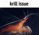 1754565226813.png
