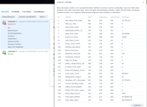 Screenshot 2025-08-11 174037.png