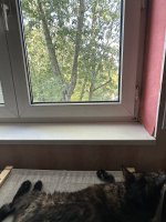 IMG_8051.jpeg