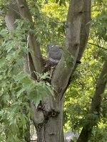 IMG_8050.jpeg