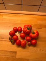 IMG_6142.jpeg