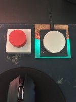 IMG_3565.jpeg