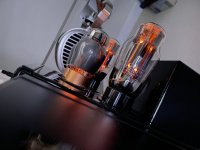 IMG_1932.JPEG