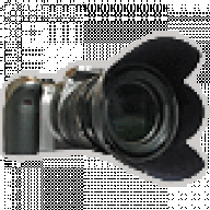 fotofreak