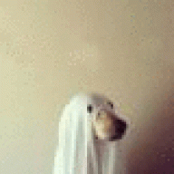 Mallbaro718