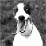 NUMA