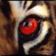 Digifrag