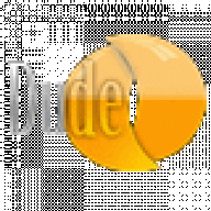 DudeX13
