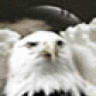 GM