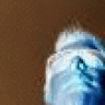 Tahrox