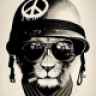 [CoC]Host