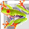 frogitech