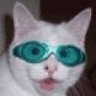 Otto_Normal