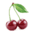 Nyxcherry