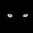 CatEyeCat