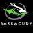 barracuda