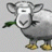 wolle24