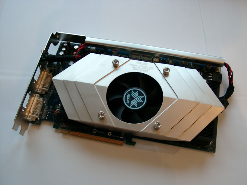 10220005.jpg