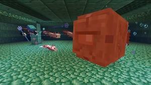 Minecraft 1.17