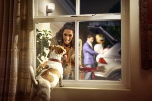 Zugehöriges Artikelbild