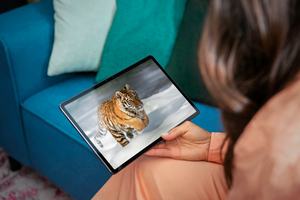 Lenovo Tab P11 Pro und Tab M10 HD Gen 2